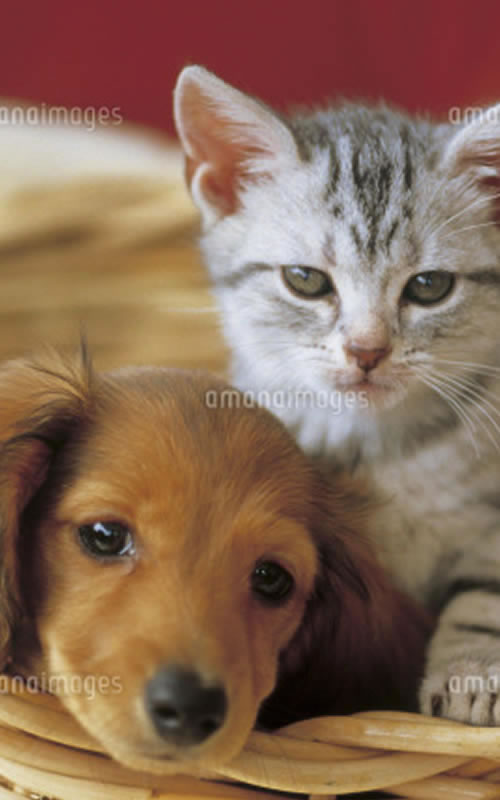 介護施設を探す